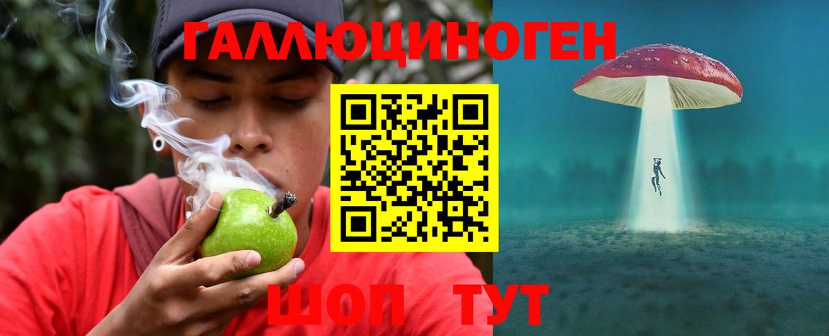 Псилоцибиновые грибы ЛСД  Псилоцибиновые грибы Magic Shrooms  Вход с VPN  Саяногорск 
